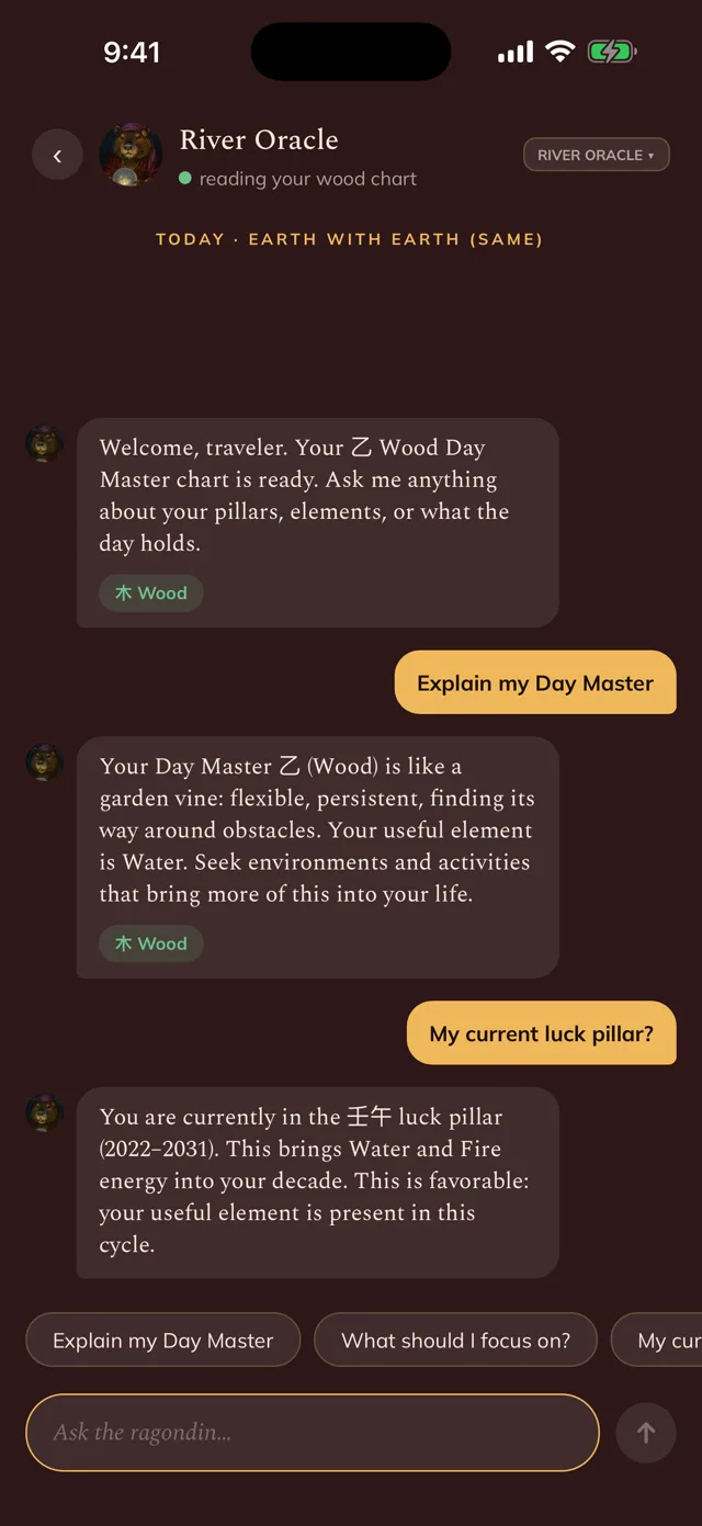 A conversation with the companion, answering questions about your Day Master and your current luck pillar.